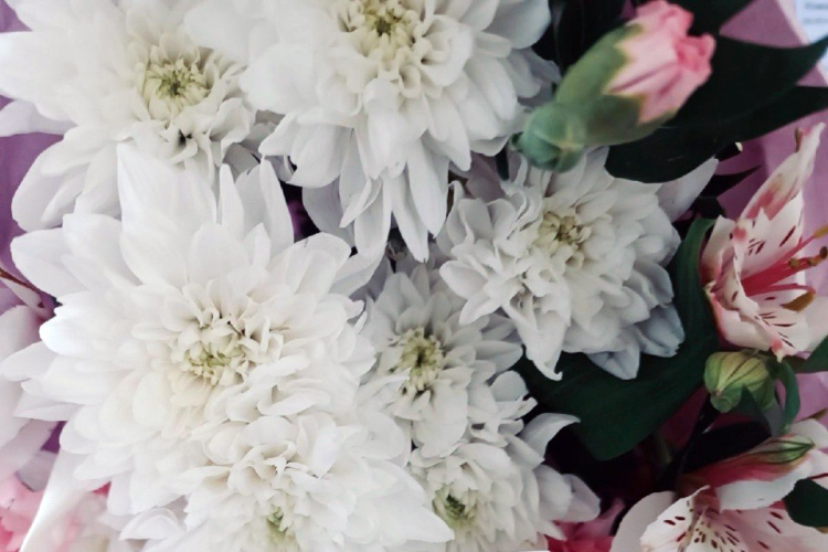 Поздравление председателя Совета депутатов города Новосибирска с 8 Марта